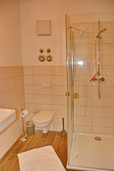 Modernes Badezimmer mit Dusche, Toilette und Handtuch auf dem Boden.