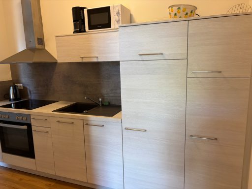 Moderne Küche mit Elektrogeräten, Spüle und Holzfronten.